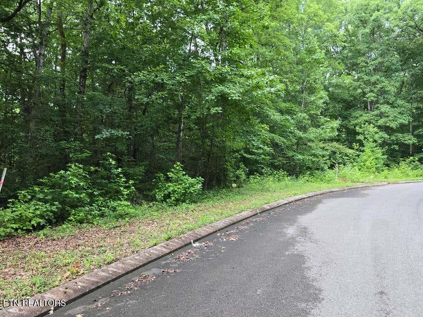 Photo of Lot 141 Lower Brow Rd, Dunlap, TN 37327 (MLS # 1348731)