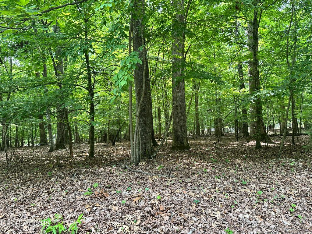 Photo of Woods Ridge Rd, Dandridge, TN 37725 (MLS # 1334162)