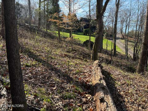 Tiny photo for 38 Johnson Lane LN, Ten Mile, TN 37880 (MLS # 1347945)