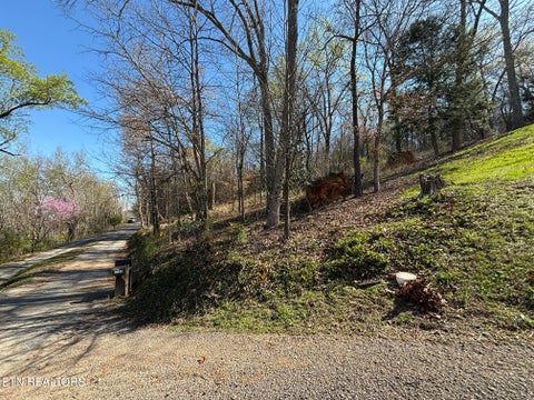 Tiny photo for 38 Johnson Lane LN, Ten Mile, TN 37880 (MLS # 1347945)
