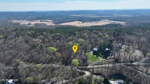 Tiny photo for 38 Johnson Lane LN, Ten Mile, TN 37880 (MLS # 1347945)