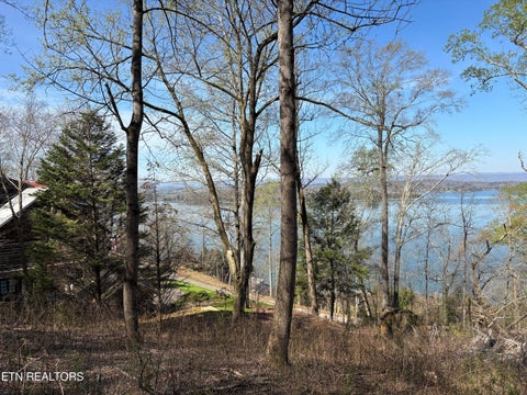 Tiny photo for 38 Johnson Lane LN, Ten Mile, TN 37880 (MLS # 1347945)