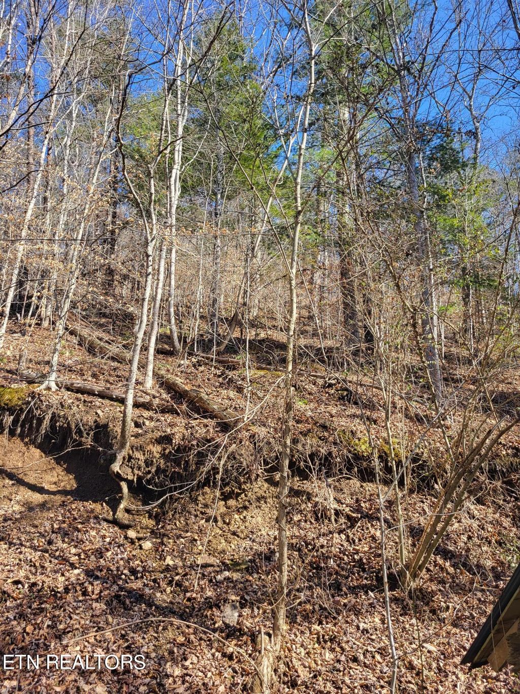 Photo of 585 Ailor Gap Rd, Maynardville, TN 37807 (MLS # 1251657)