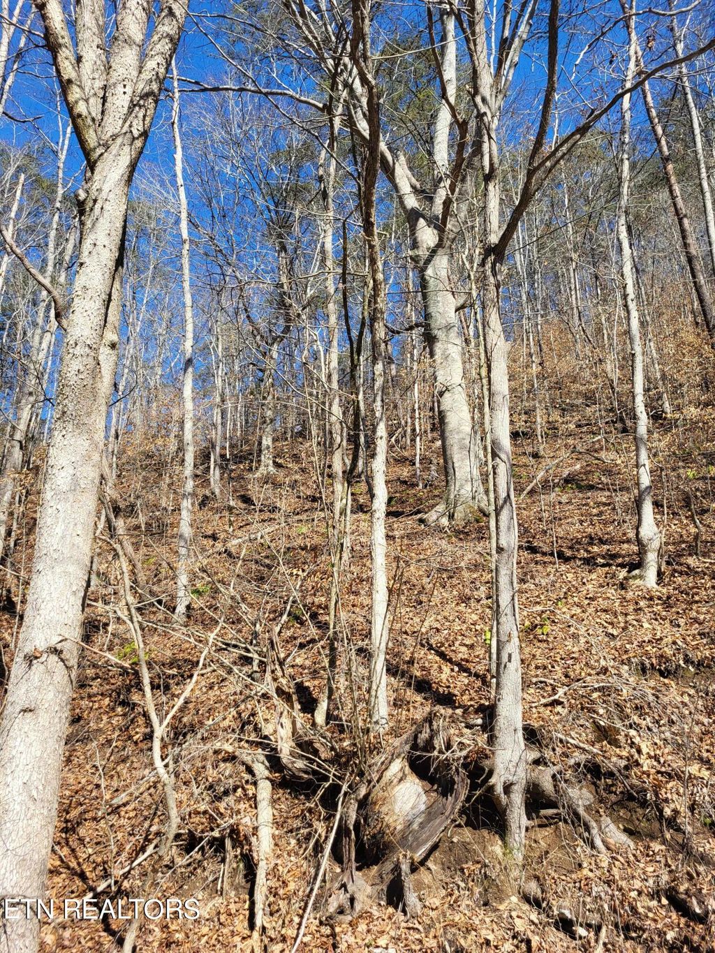 Photo of 585 Ailor Gap Rd, Maynardville, TN 37807 (MLS # 1251657)