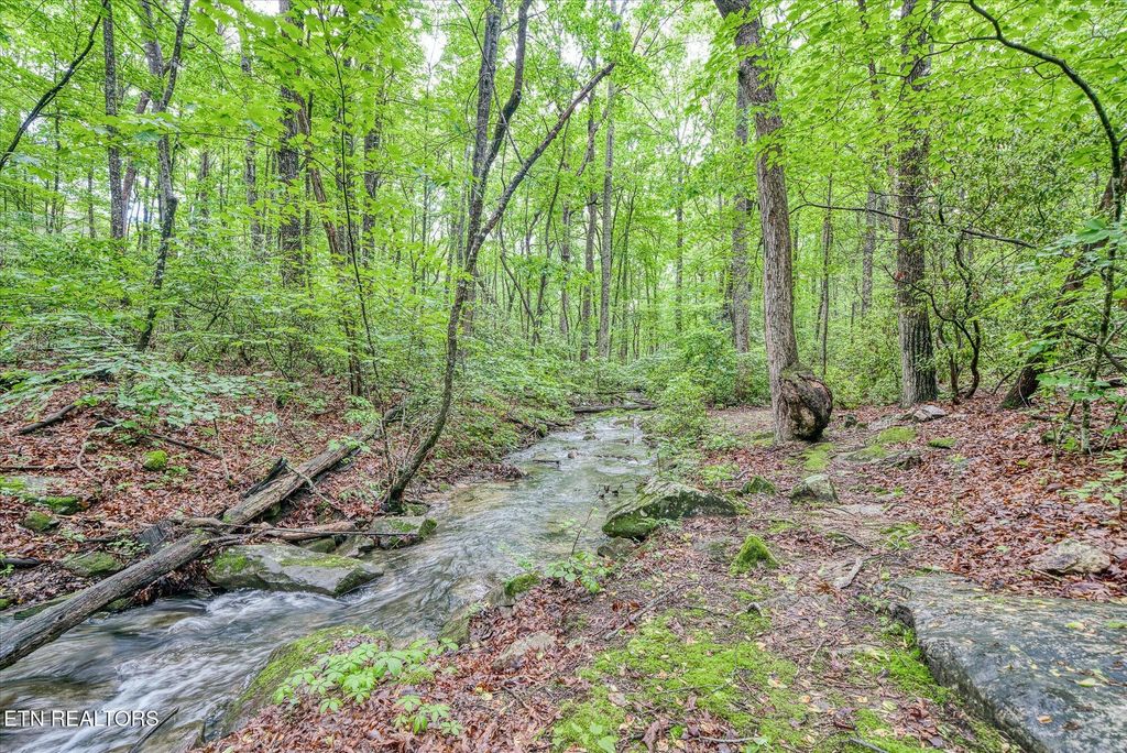 Photo of 182 Canterbury Drive, Crossville, TN 38558 (MLS # 1301072)