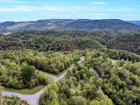 Tiny photo for 410 Mystic Star Drive, New Tazewell, TN 37825 (MLS # 1335720)