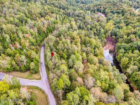 Tiny photo for 410 Mystic Star Drive, New Tazewell, TN 37825 (MLS # 1335720)