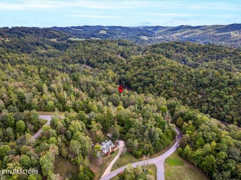 Tiny photo for 410 Mystic Star Drive, New Tazewell, TN 37825 (MLS # 1335720)