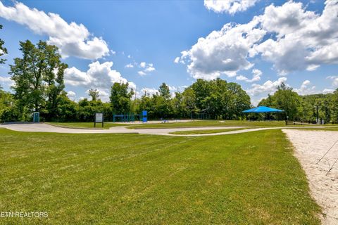 Tiny photo for 410 Mystic Star Drive, New Tazewell, TN 37825 (MLS # 1335720)