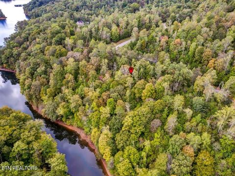 Tiny photo for 410 Mystic Star Drive, New Tazewell, TN 37825 (MLS # 1335720)