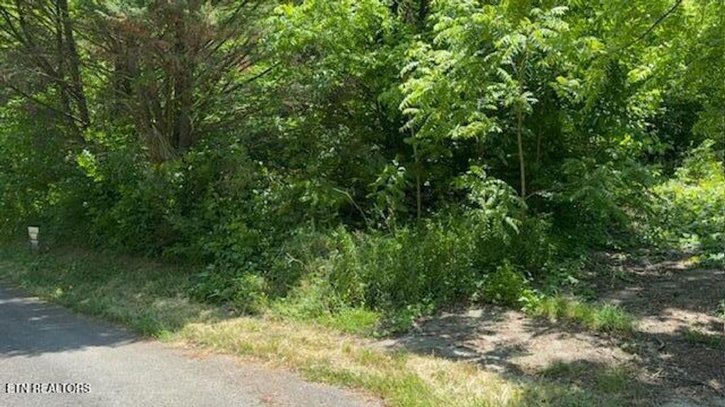 Photo of 1639 Noe Circle, New Market, TN 37820 (MLS # 1341493)