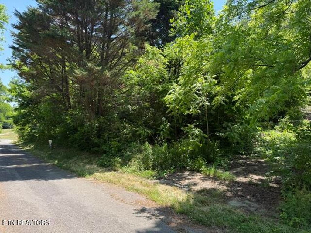 Photo of 1639 Noe Circle, New Market, TN 37820 (MLS # 1341493)