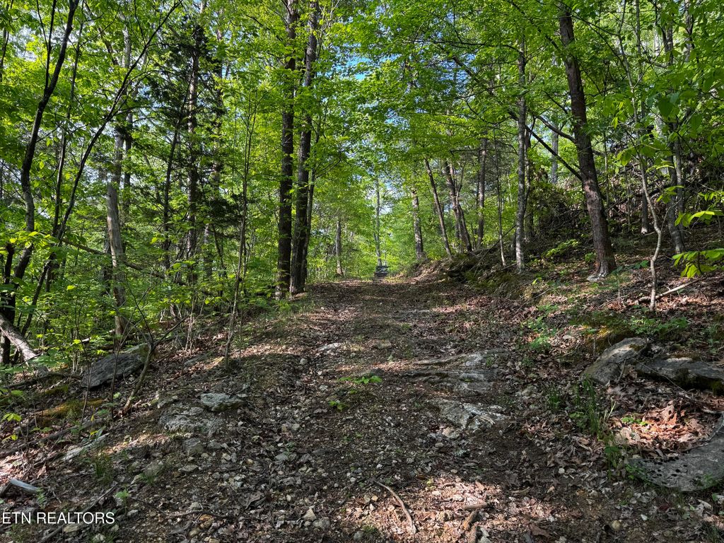 Photo of Baltimore Rd, Washburn, TN 37888 (MLS # 1327633)