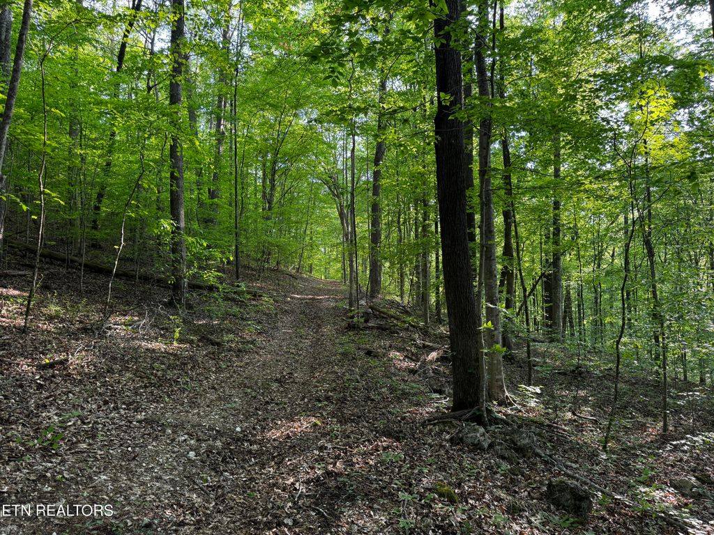 Photo of Baltimore Rd, Washburn, TN 37888 (MLS # 1327633)