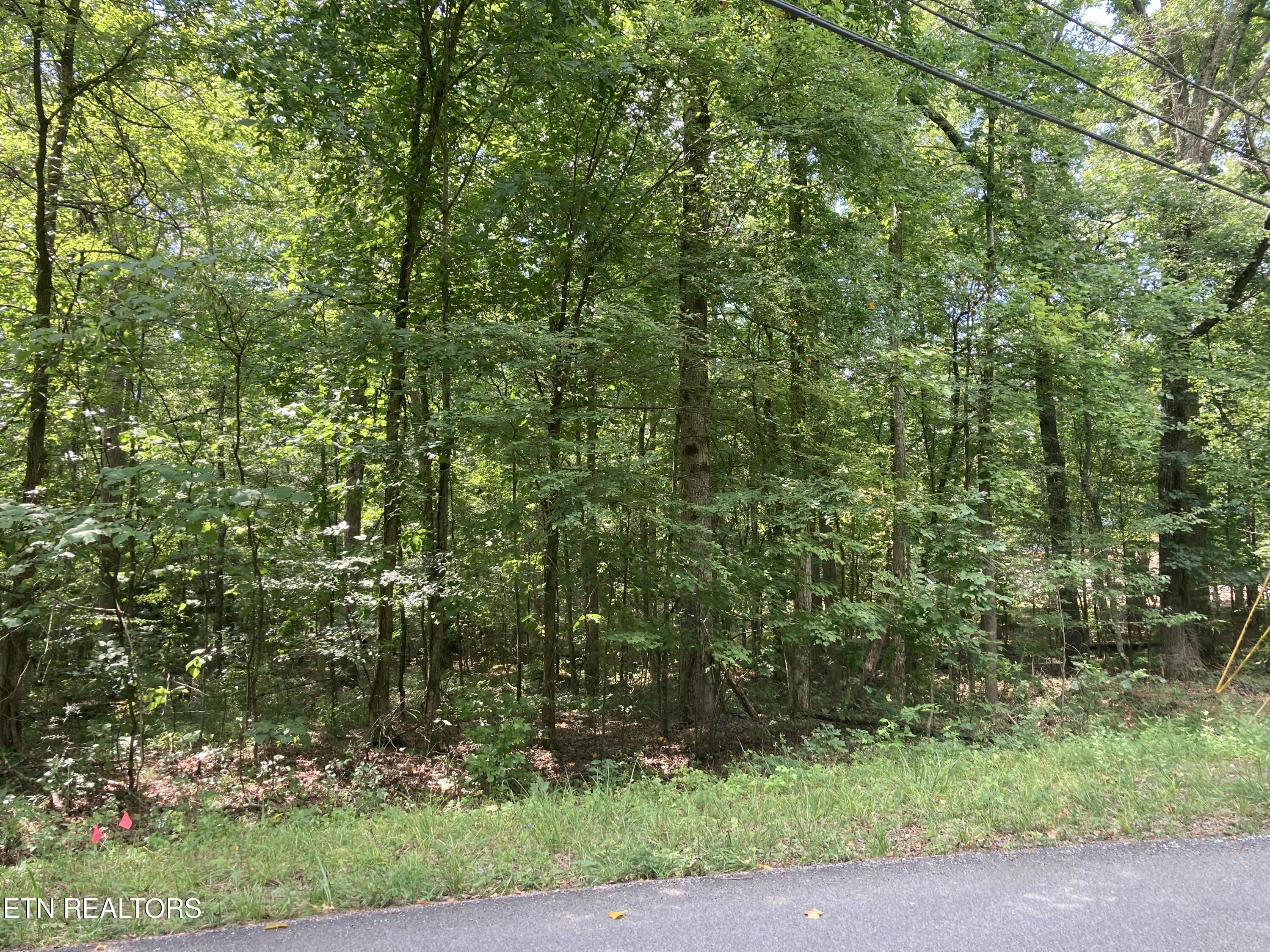 Lot 1069 Iron Gate Drive
