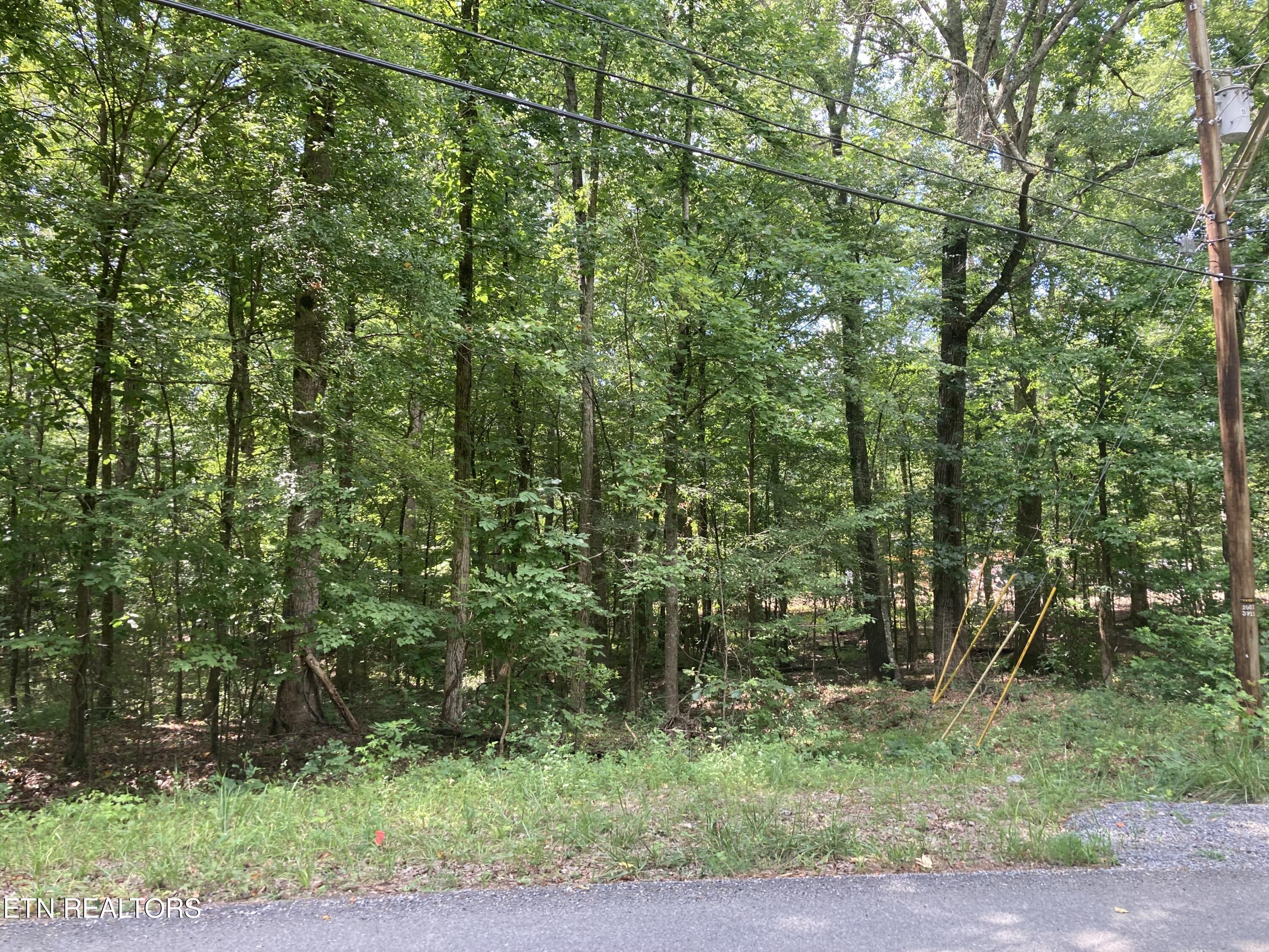 Lot 1069 Iron Gate Drive
