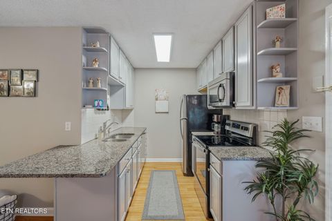 Tiny photo for 1045 Blinken St, Knoxville, TN 37932 (MLS # 1325394)