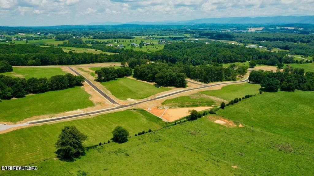 Photo of 285918 John Drive, Greenback, TN 37742 (MLS # 1254172)