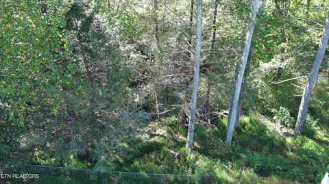 Tiny photo for 322 Spruce Drive, Wartburg, TN 37887 (MLS # 1317111)