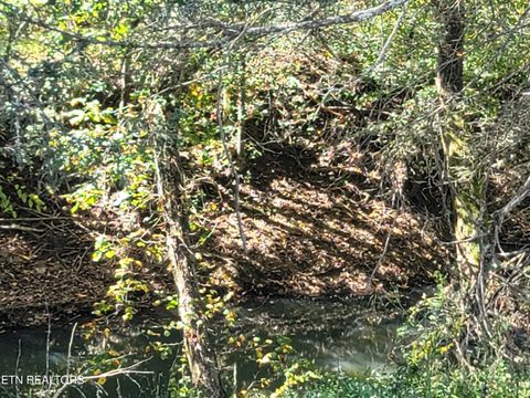 Tiny photo for 322 Spruce Drive, Wartburg, TN 37887 (MLS # 1317111)