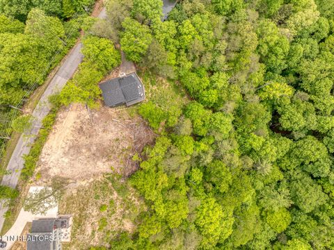 Tiny photo for 210 Cutter Gap Rd, Townsend, TN 37882 (MLS # 1340339)