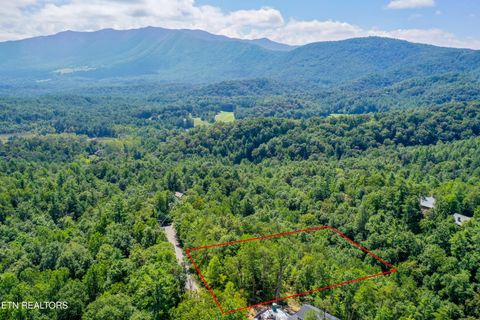Tiny photo for 210 Cutter Gap Rd, Townsend, TN 37882 (MLS # 1340339)