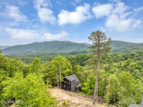 Photo of 210 Cutter Gap Rd, Townsend, TN 37882 (MLS # 1340339)