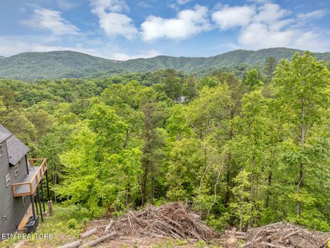 Tiny photo for 210 Cutter Gap Rd, Townsend, TN 37882 (MLS # 1340339)