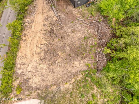 Tiny photo for 210 Cutter Gap Rd, Townsend, TN 37882 (MLS # 1340339)