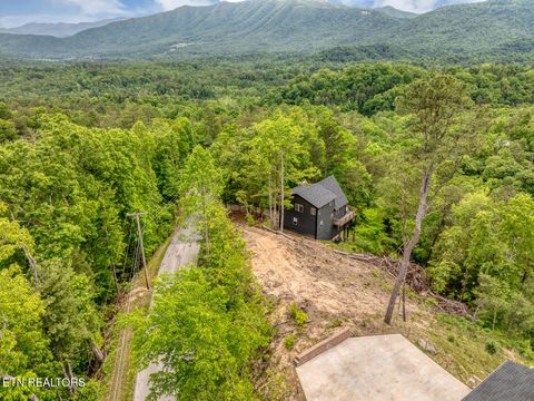 Tiny photo for 210 Cutter Gap Rd, Townsend, TN 37882 (MLS # 1340339)