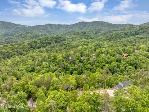 Tiny photo for 210 Cutter Gap Rd, Townsend, TN 37882 (MLS # 1340339)