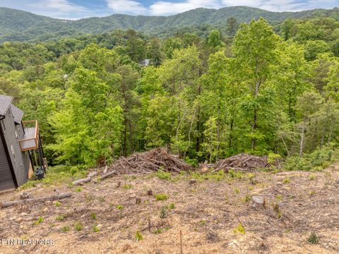 Tiny photo for 210 Cutter Gap Rd, Townsend, TN 37882 (MLS # 1340339)