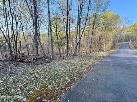 Tiny photo for 1516 Catoosa Drive, Mooresburg, TN 37811 (MLS # 1331986)