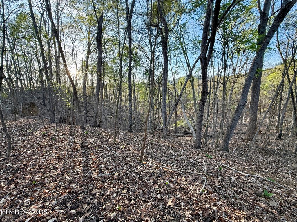 Photo of 1516 Catoosa Drive, Mooresburg, TN 37811 (MLS # 1331986)