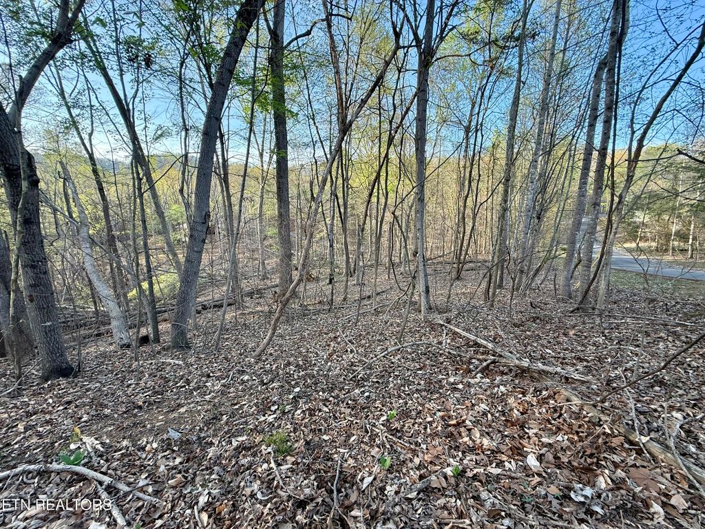 Photo of 1516 Catoosa Drive, Mooresburg, TN 37811 (MLS # 1331986)