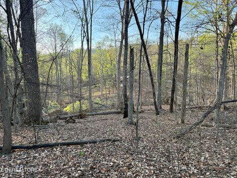 Tiny photo for 1516 Catoosa Drive, Mooresburg, TN 37811 (MLS # 1331986)