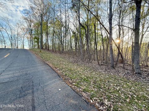 Tiny photo for 1516 Catoosa Drive, Mooresburg, TN 37811 (MLS # 1331986)