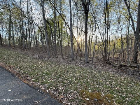 Tiny photo for 1516 Catoosa Drive, Mooresburg, TN 37811 (MLS # 1331986)