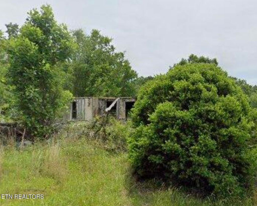 Photo of 123 Friendship Lane, Rockwood, TN 37854 (MLS # 1292734)