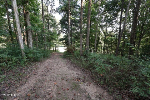 Tiny photo for 5316 Old Niles Ferry Rd, Maryville, TN 37801 (MLS # 1356034)