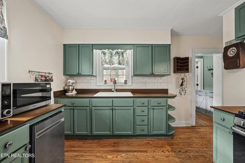 Tiny photo for 2723 Keystone Ave, Knoxville, TN 37917 (MLS # 1327562)