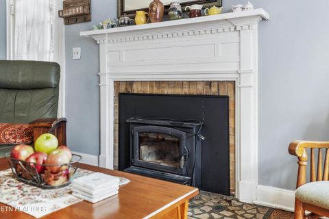 Tiny photo for 2723 Keystone Ave, Knoxville, TN 37917 (MLS # 1327562)