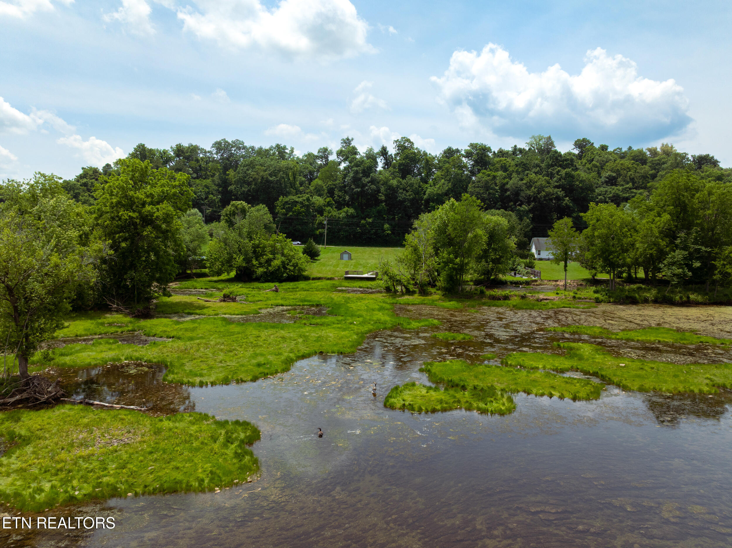 Lot 12 Holston Shores Drive
