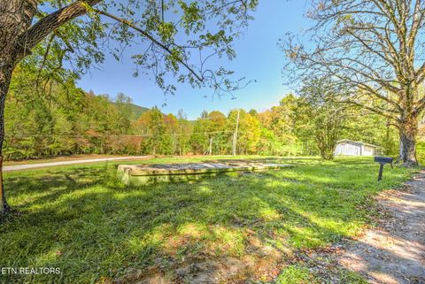 Photo of 1446 Cove Lane, Oliver Springs, TN 37840 (MLS # 1319043)