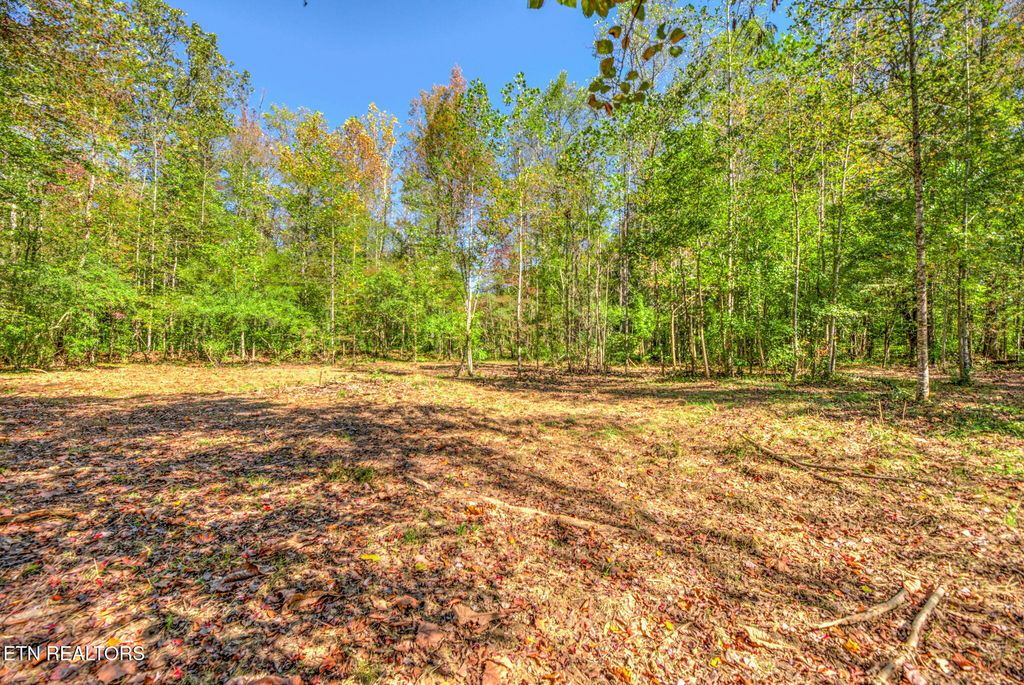 Photo of 1446 Cove Lane, Oliver Springs, TN 37840 (MLS # 1319043)