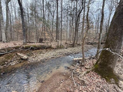 Tiny photo for 1446 Cove Lane, Oliver Springs, TN 37840 (MLS # 1319043)