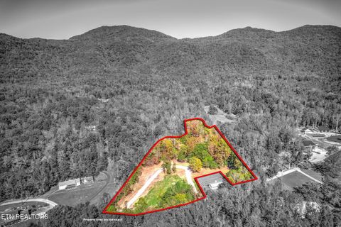 Tiny photo for 1446 Cove Lane, Oliver Springs, TN 37840 (MLS # 1319043)