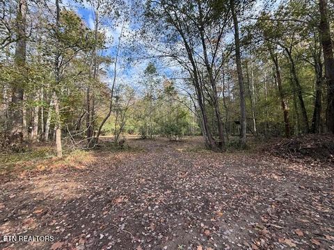 Tiny photo for 1446 Cove Lane, Oliver Springs, TN 37840 (MLS # 1319043)