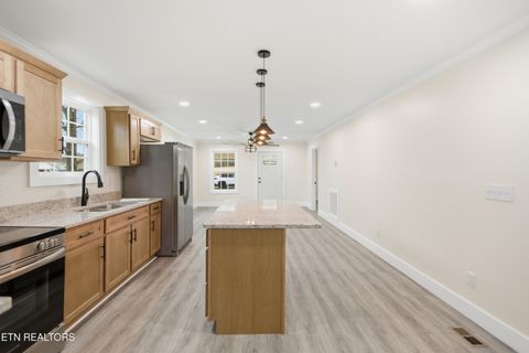 Tiny photo for 423 Illinois Ave, Etowah, TN 37331 (MLS # 1324591)