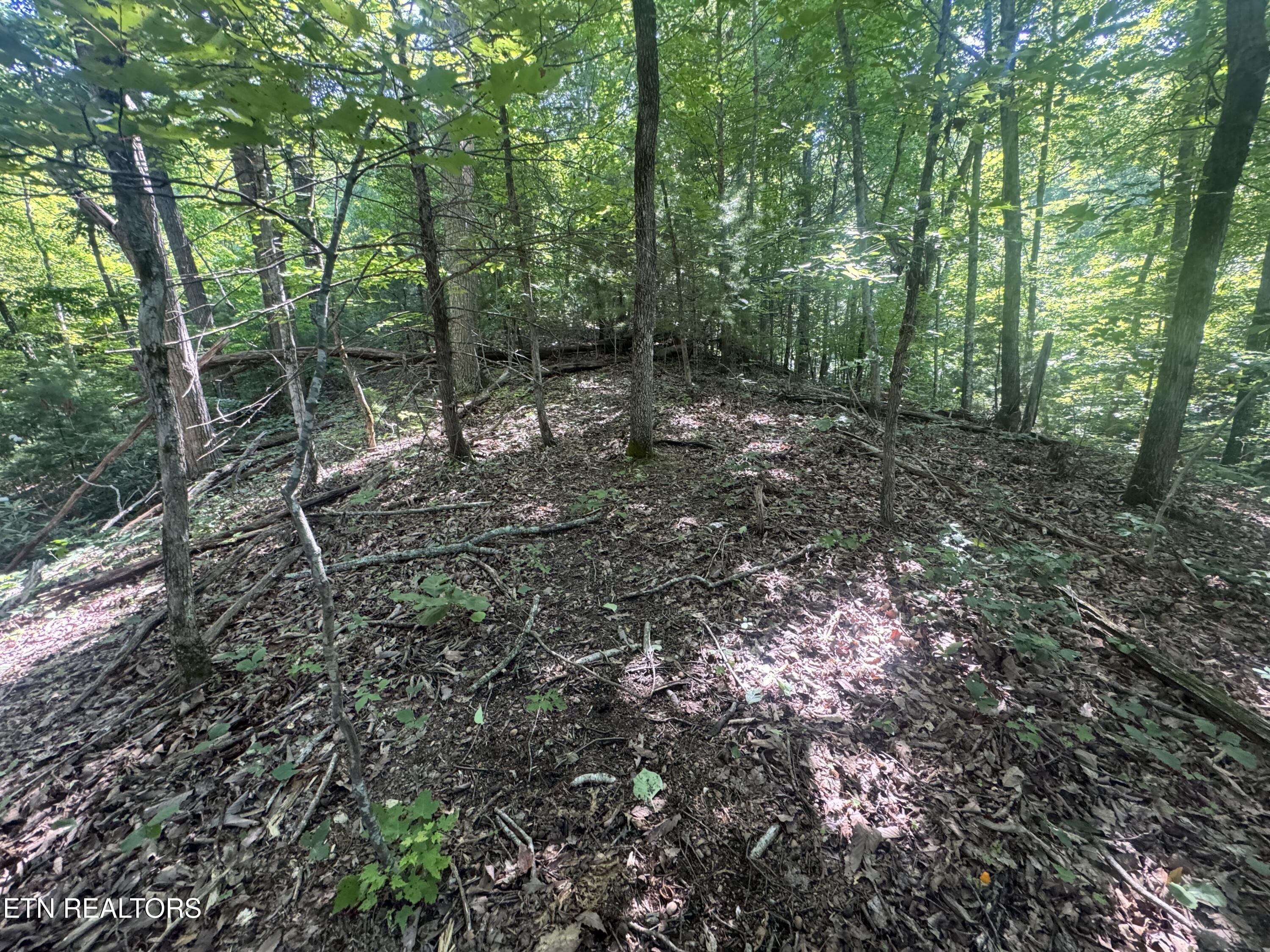Photo 1 of 41 — 332 Padgett Mill Rd, Cosby, TN 37722